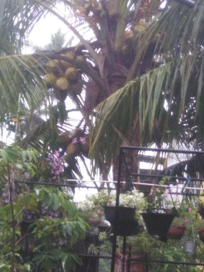 Loku Mirissa Hotel Exterior photo