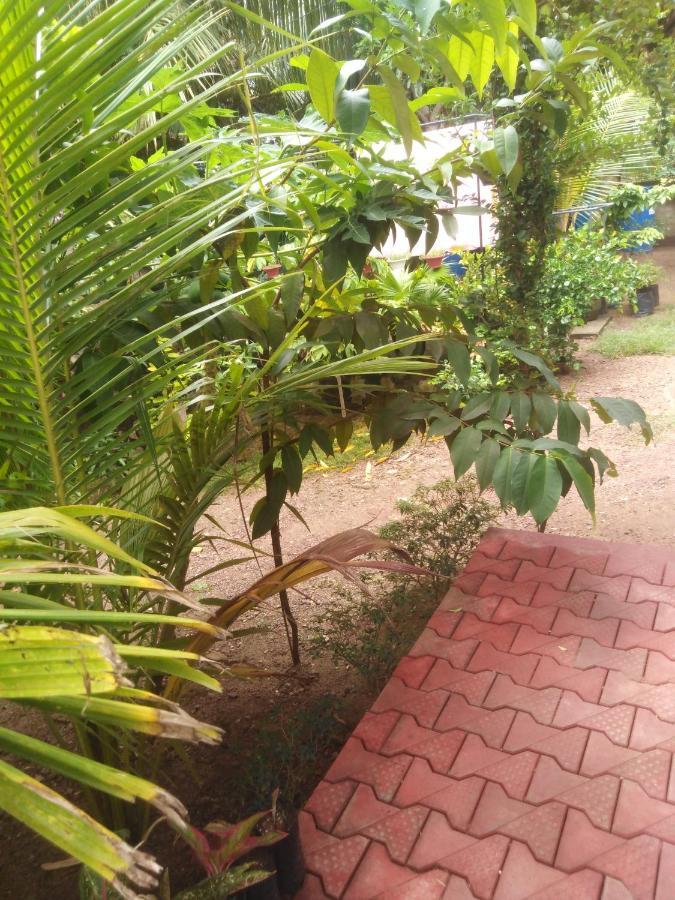 Loku Mirissa Hotel Exterior photo