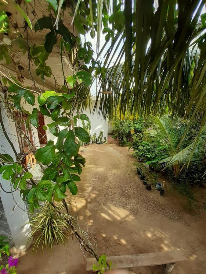 Loku Mirissa Hotel Exterior photo